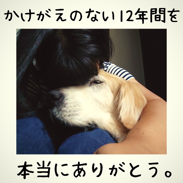 f:id:wancachan:20201009175138j:image
