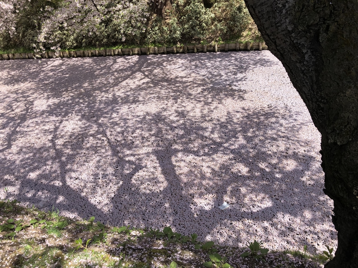 f:id:wandeba_life:20190506002057j:plain