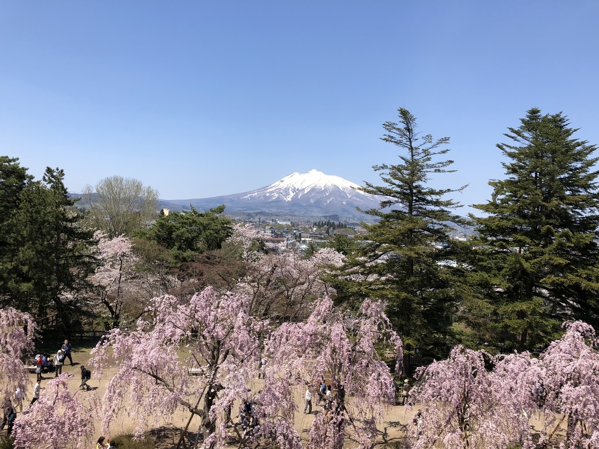 f:id:wandeba_life:20190506002444j:plain