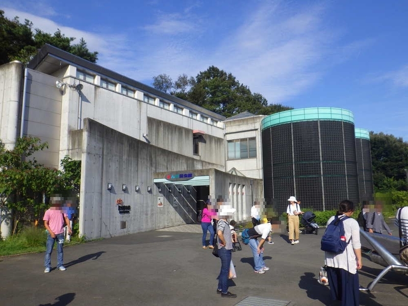 多摩動物公園 昆虫園 C級スポット探索日記 多摩動物公園 昆虫園 C級スポット探索日記