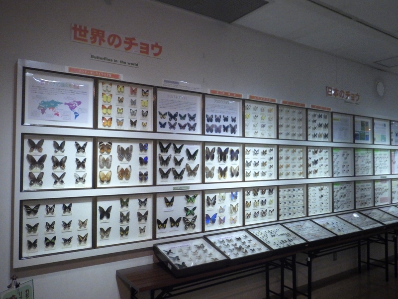 f:id:wandercspot:20200614205503j:plain f:id:wandercspot:20200614205503j:plain