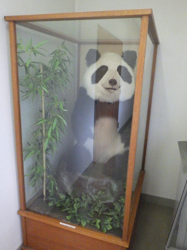 f:id:wandercspot:20200701220122j:plain f:id:wandercspot:20200701220122j:plain