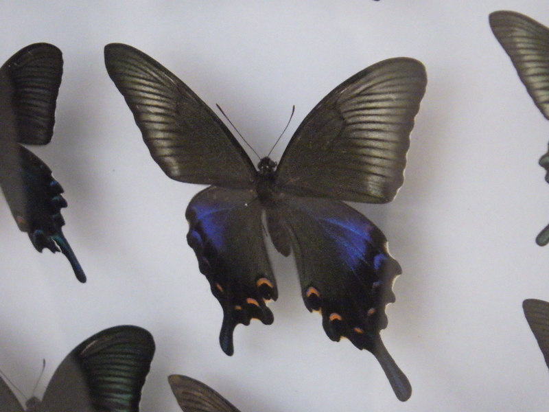 f:id:wandercspot:20200703213422j:plain f:id:wandercspot:20200703213422j:plain