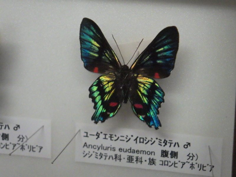 f:id:wandercspot:20200703213714j:plain f:id:wandercspot:20200703213714j:plain