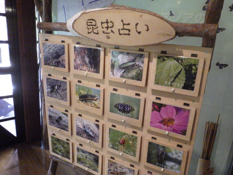 f:id:wandercspot:20200713173157j:plain f:id:wandercspot:20200713173157j:plain