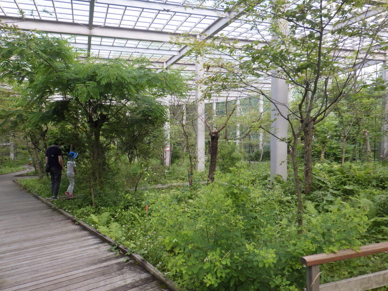 f:id:wandercspot:20200713173431j:plain f:id:wandercspot:20200713173431j:plain
