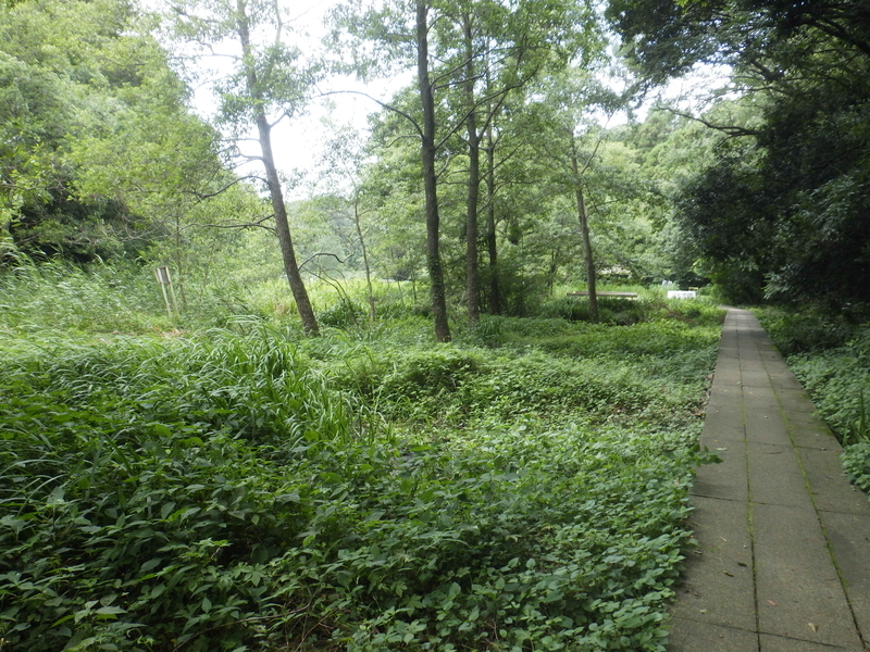 f:id:wandercspot:20200717152357j:plain f:id:wandercspot:20200717152357j:plain