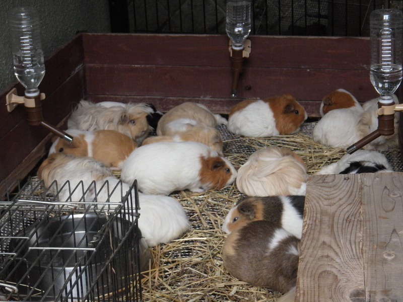 f:id:wandercspot:20200717152606j:plain f:id:wandercspot:20200717152606j:plain