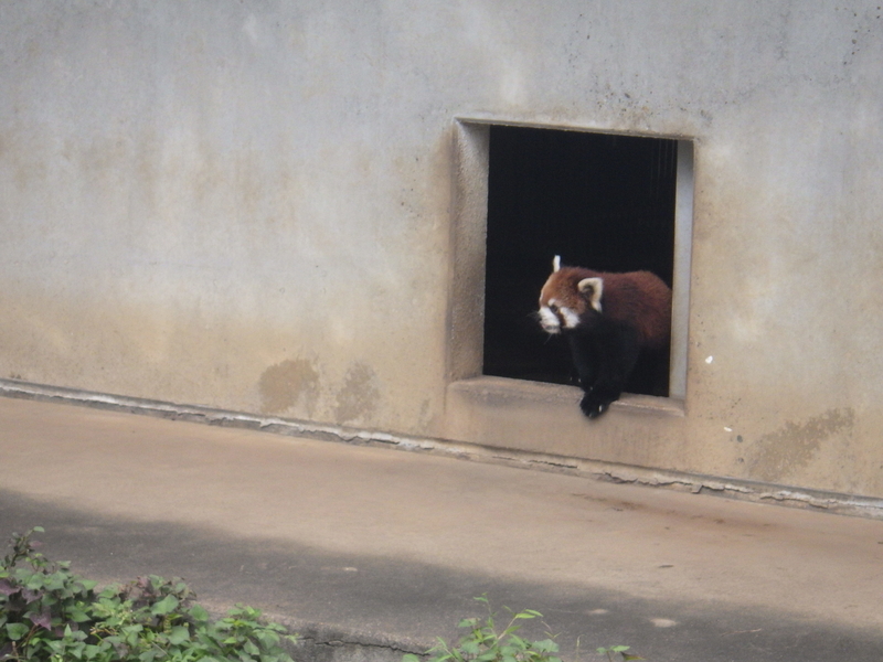f:id:wandercspot:20200717152723j:plain f:id:wandercspot:20200717152723j:plain