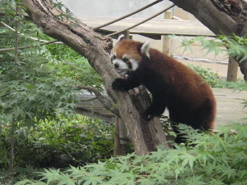 f:id:wandercspot:20200717152738j:plain f:id:wandercspot:20200717152738j:plain