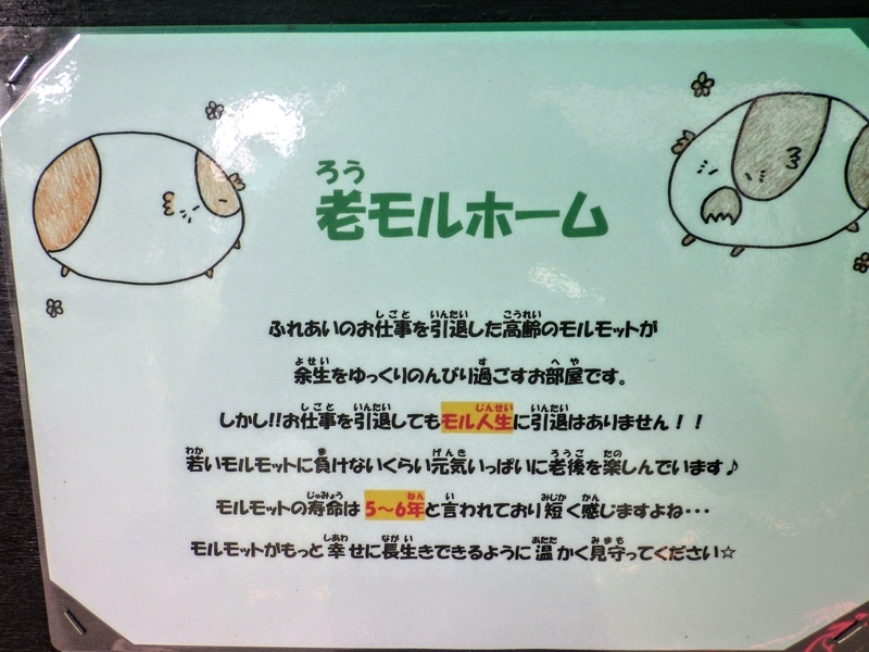 f:id:wandercspot:20200717163017j:plain f:id:wandercspot:20200717163017j:plain