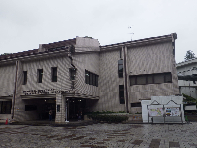 f:id:wandercspot:20200717170445j:plain f:id:wandercspot:20200717170445j:plain