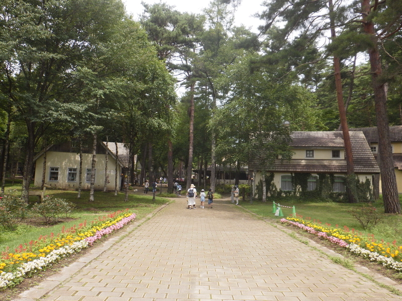 f:id:wandercspot:20200813232949j:plain f:id:wandercspot:20200813232949j:plain