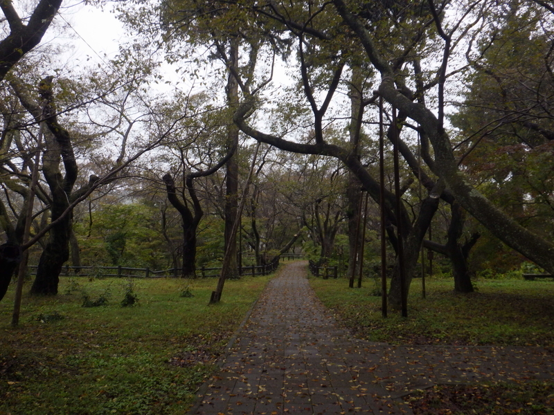 f:id:wandercspot:20201014172857j:plain f:id:wandercspot:20201014172857j:plain