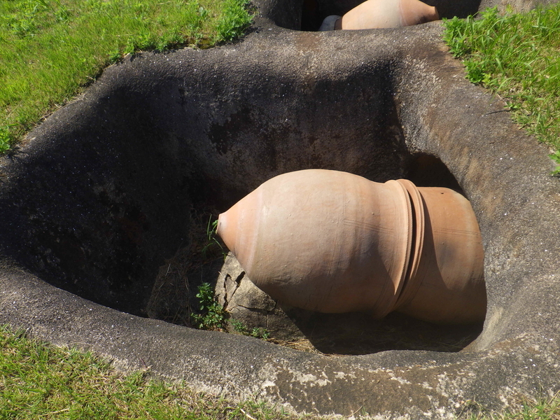 f:id:wandercspot:20211102113104j:plain