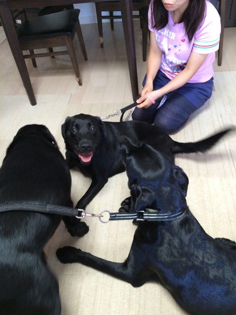 f:id:wanderful-life:20150925104034j:image f:id:wanderful-life:20150925104034j:image