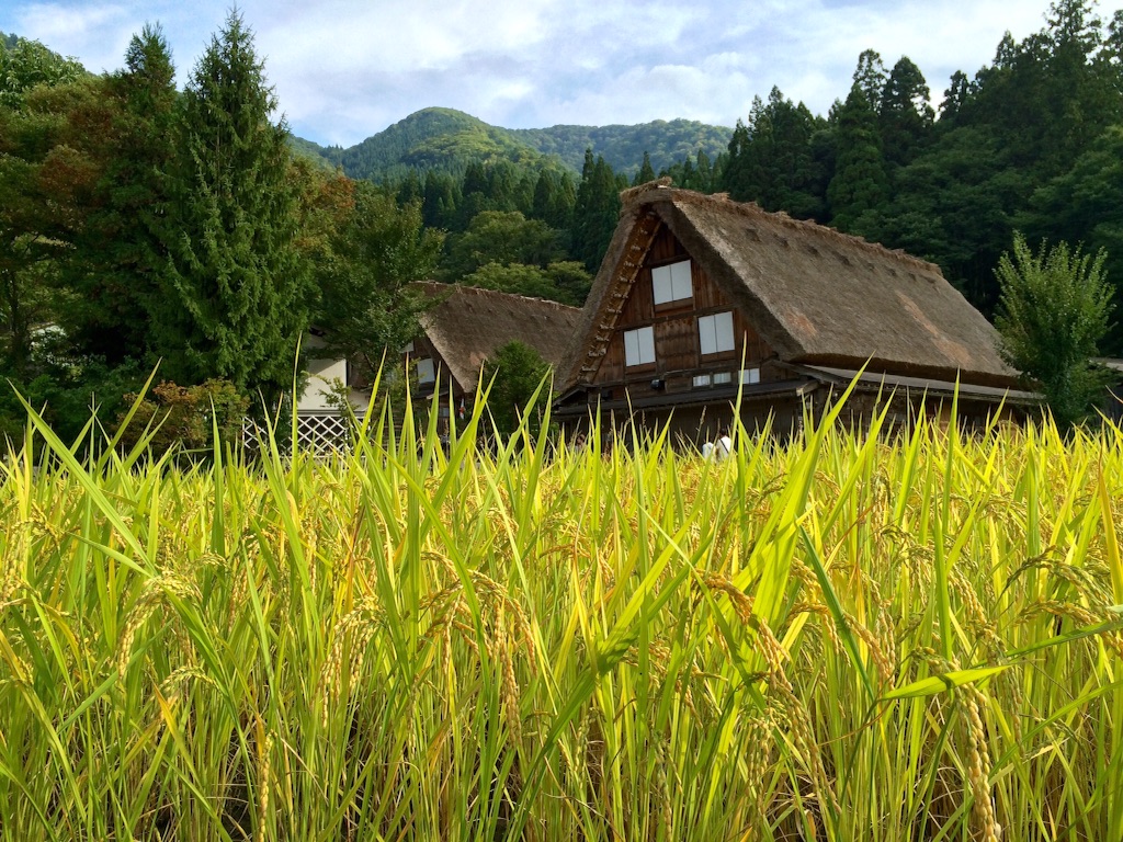 f:id:wanderful-life:20150925204129j:image f:id:wanderful-life:20150925204129j:image