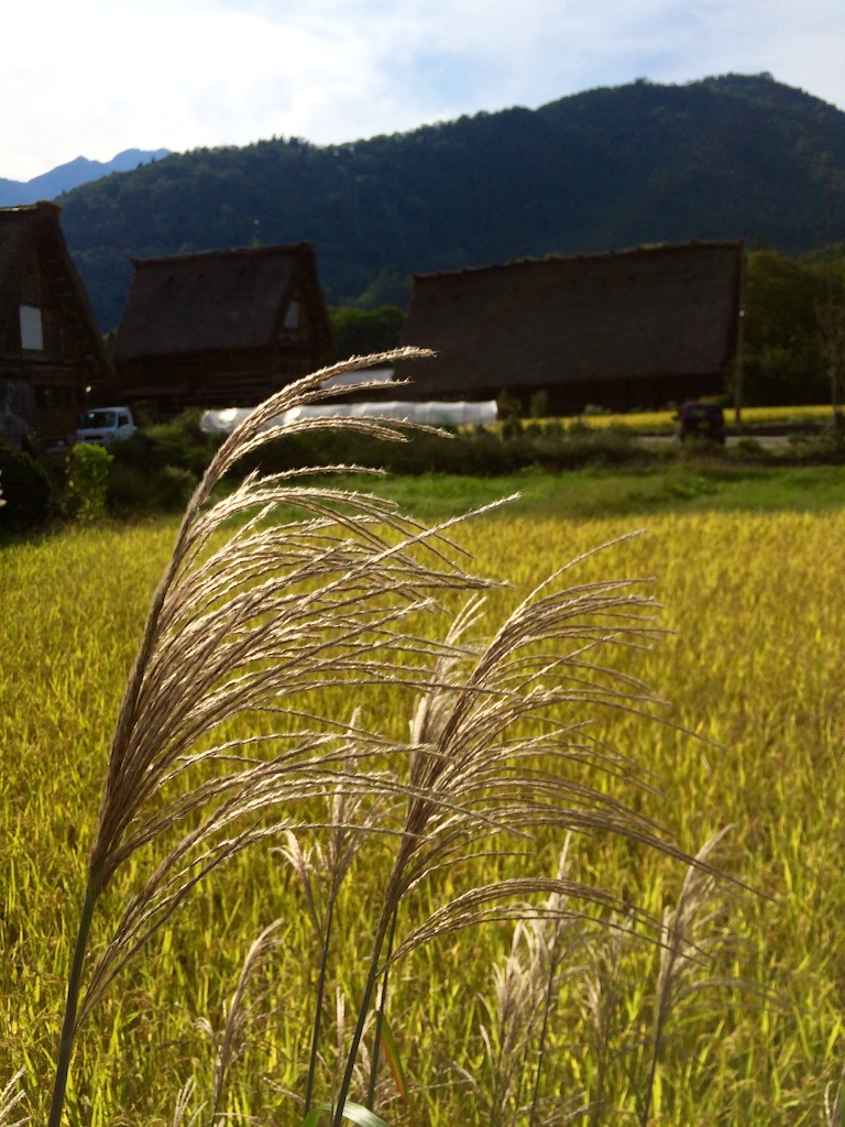 f:id:wanderful-life:20150925204207j:image f:id:wanderful-life:20150925204207j:image