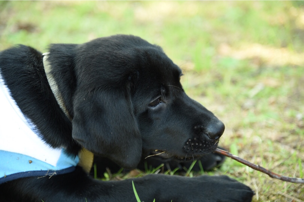 f:id:wanderful-life:20150928202545j:image f:id:wanderful-life:20150928202545j:image