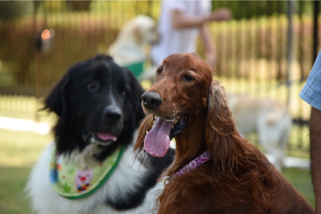 f:id:wanderful-life:20150928202628j:image f:id:wanderful-life:20150928202628j:image