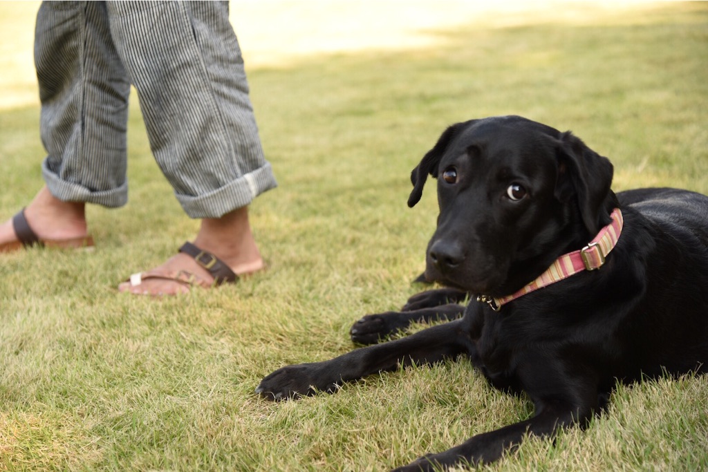 f:id:wanderful-life:20150928202658j:image f:id:wanderful-life:20150928202658j:image
