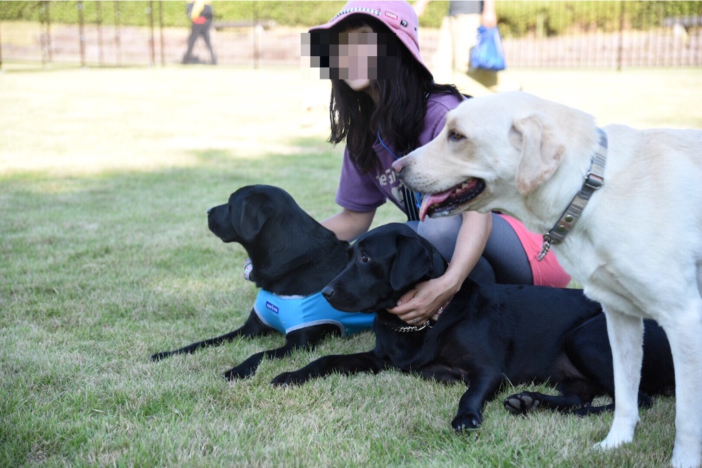 f:id:wanderful-life:20150928202821j:image f:id:wanderful-life:20150928202821j:image