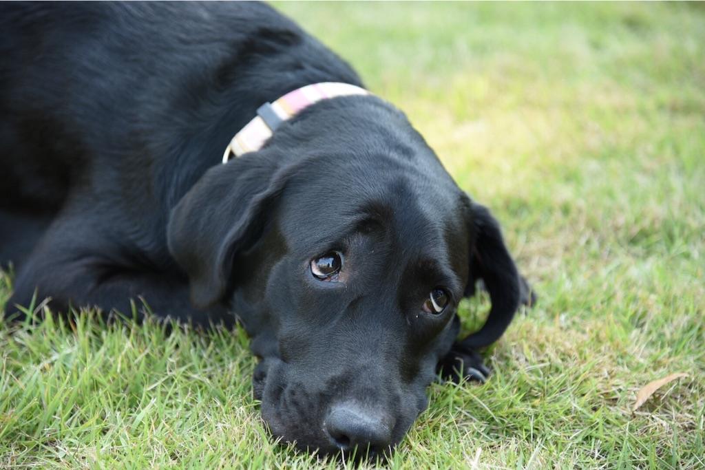 f:id:wanderful-life:20150928203723j:image f:id:wanderful-life:20150928203723j:image