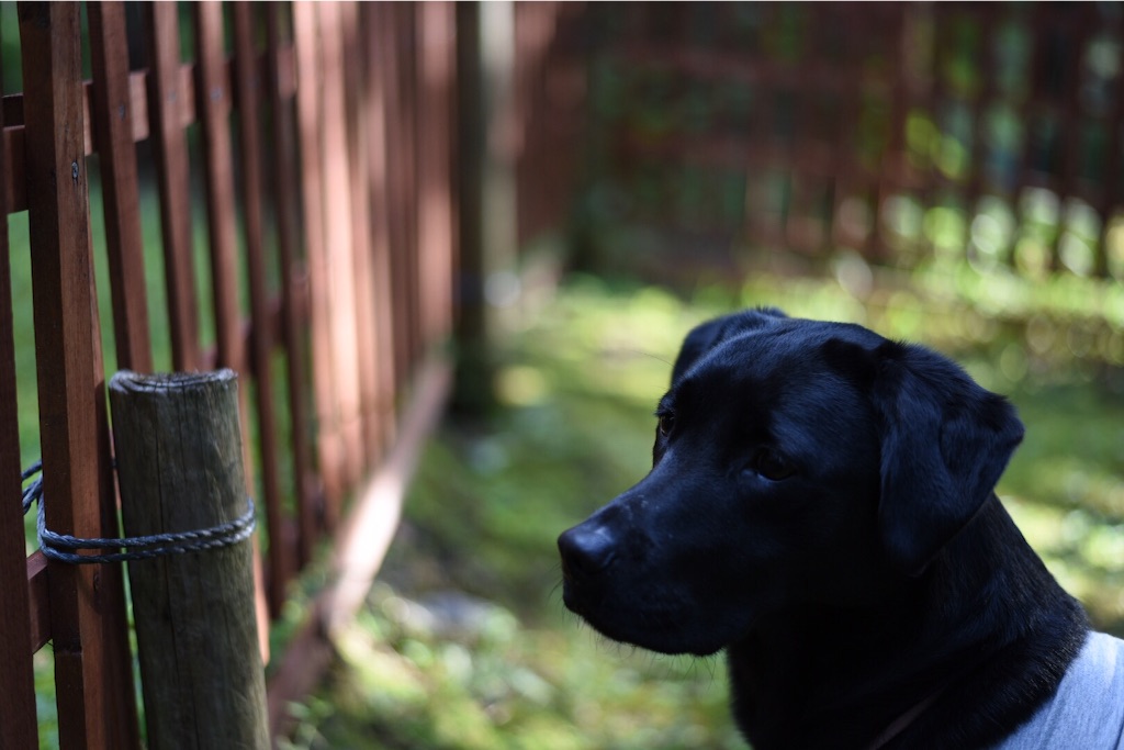 f:id:wanderful-life:20151005171748j:image f:id:wanderful-life:20151005171748j:image