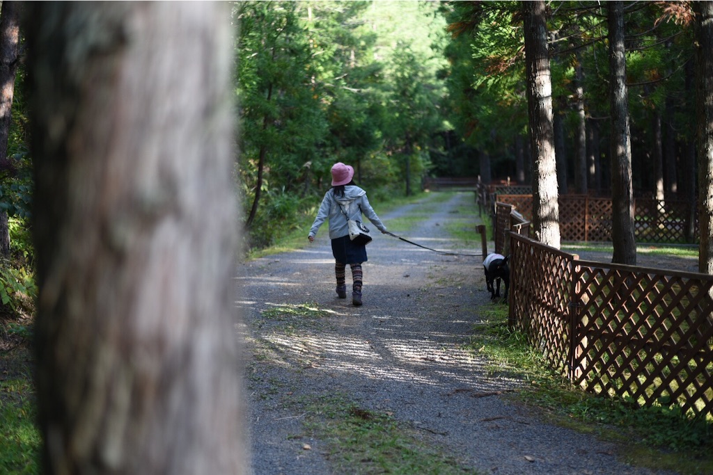 f:id:wanderful-life:20151005182151j:image f:id:wanderful-life:20151005182151j:image
