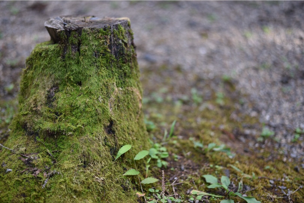 f:id:wanderful-life:20151005184046j:image f:id:wanderful-life:20151005184046j:image