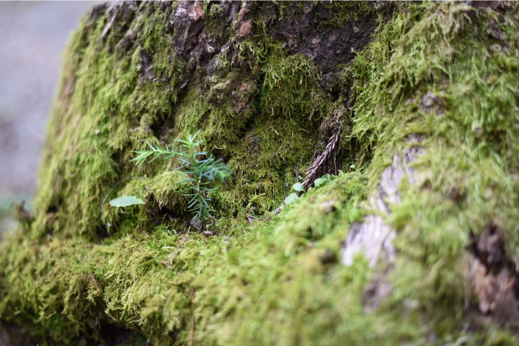 f:id:wanderful-life:20151005184200j:image f:id:wanderful-life:20151005184200j:image