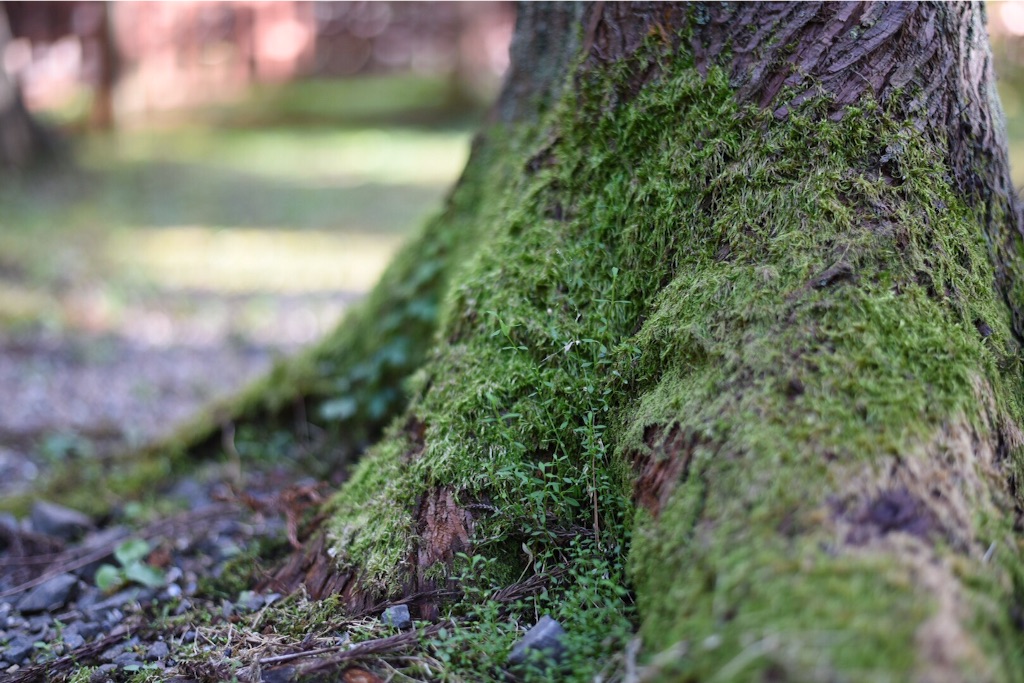 f:id:wanderful-life:20151005184211j:image f:id:wanderful-life:20151005184211j:image