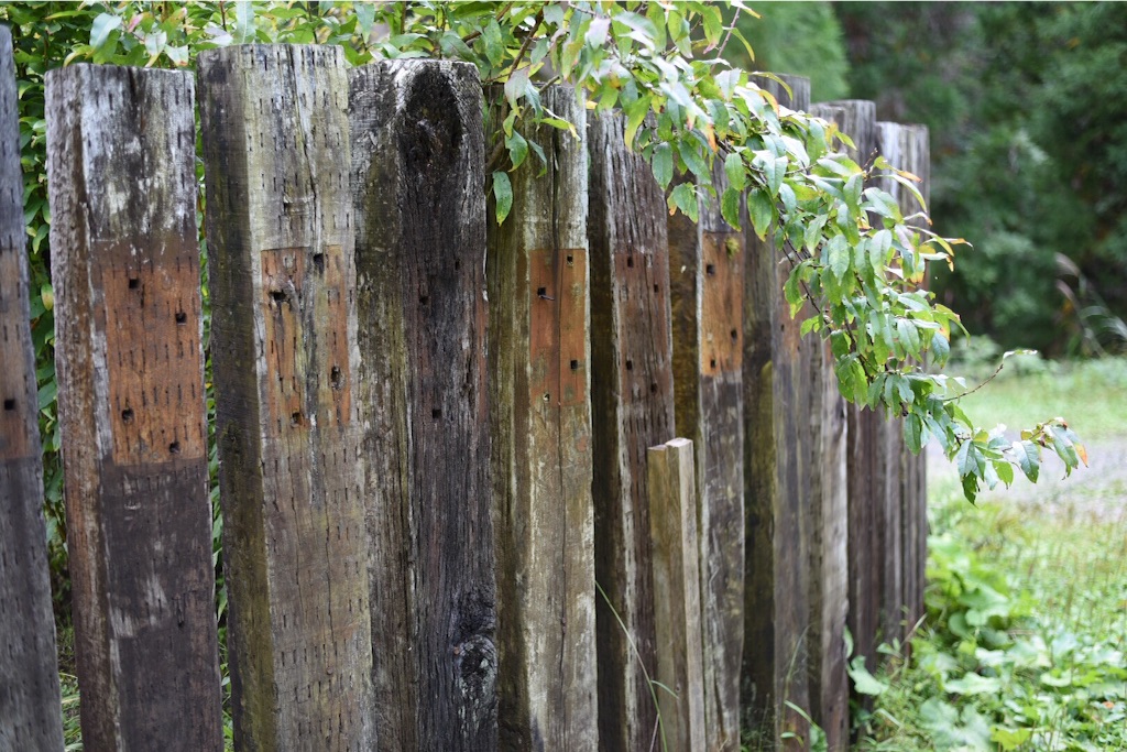 f:id:wanderful-life:20151005184430j:image f:id:wanderful-life:20151005184430j:image
