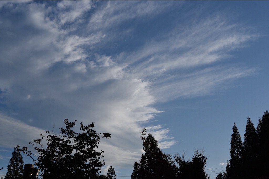 f:id:wanderful-life:20151005185027j:image f:id:wanderful-life:20151005185027j:image