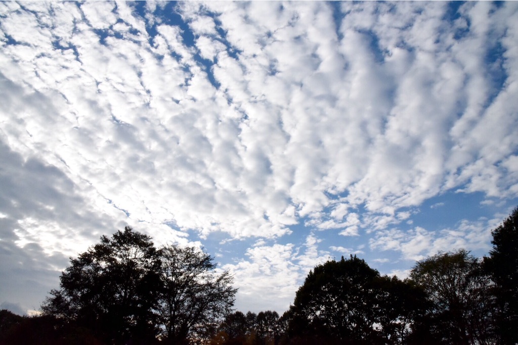 f:id:wanderful-life:20151013234031j:image f:id:wanderful-life:20151013234031j:image