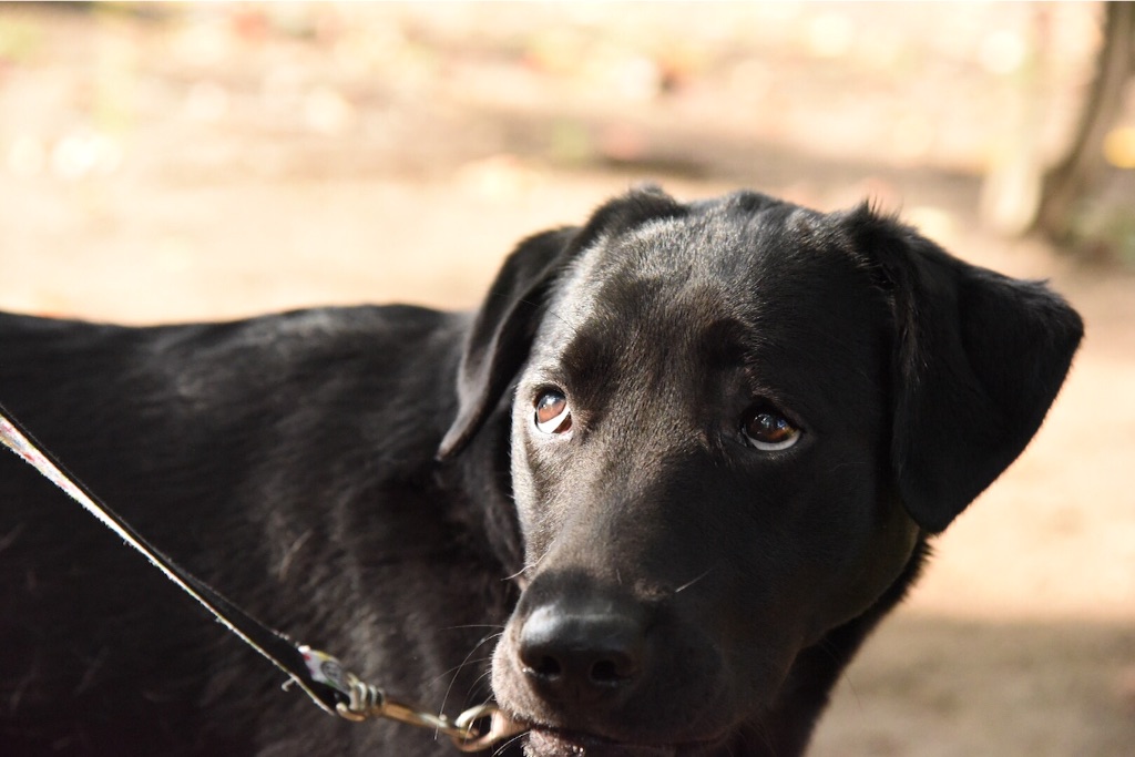 f:id:wanderful-life:20151014001900j:image f:id:wanderful-life:20151014001900j:image