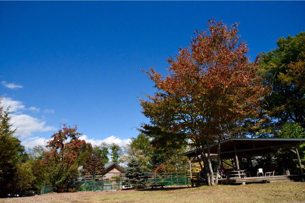 f:id:wanderful-life:20151014073220j:image f:id:wanderful-life:20151014073220j:image