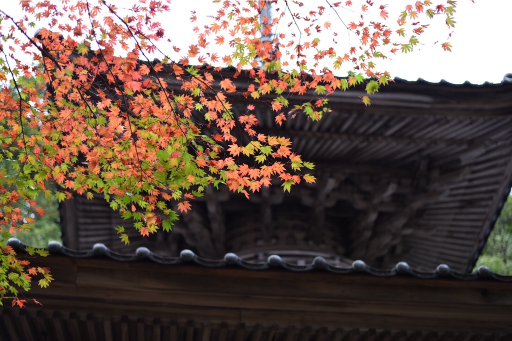f:id:wanderful-life:20151203230752j:image f:id:wanderful-life:20151203230752j:image