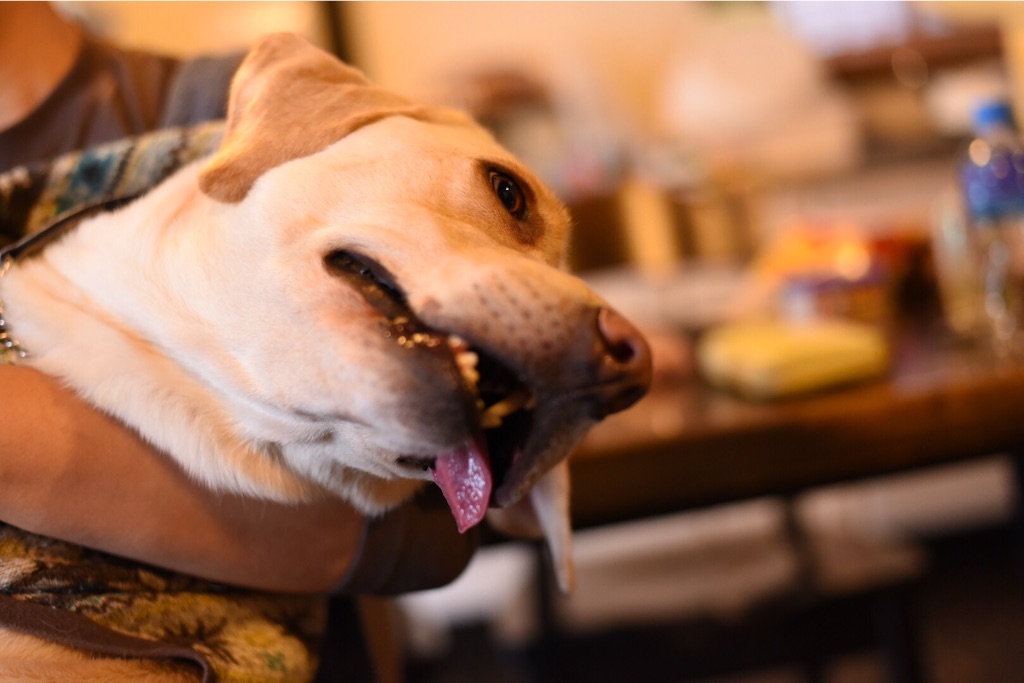 f:id:wanderful-life:20151212220754j:image f:id:wanderful-life:20151212220754j:image