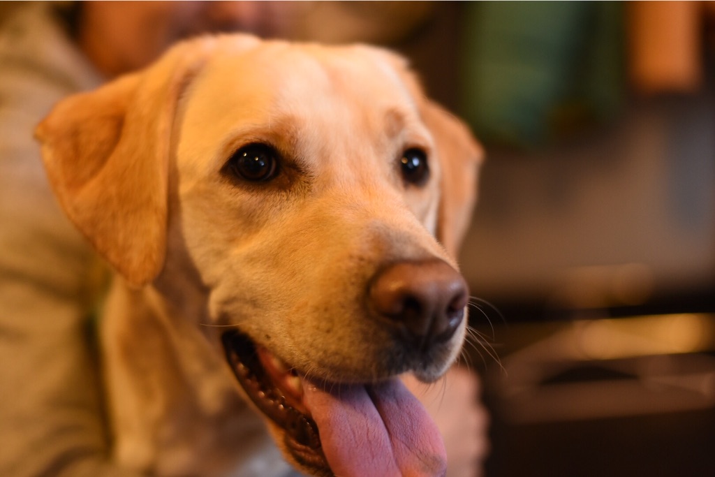 f:id:wanderful-life:20151212221751j:image f:id:wanderful-life:20151212221751j:image