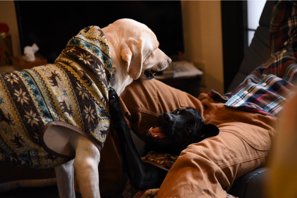 f:id:wanderful-life:20151212221849j:image f:id:wanderful-life:20151212221849j:image