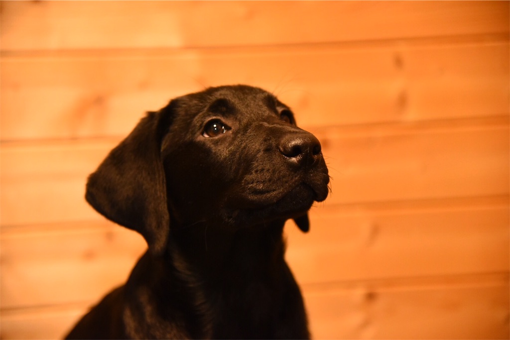 f:id:wanderful-life:20151226215612j:image f:id:wanderful-life:20151226215612j:image