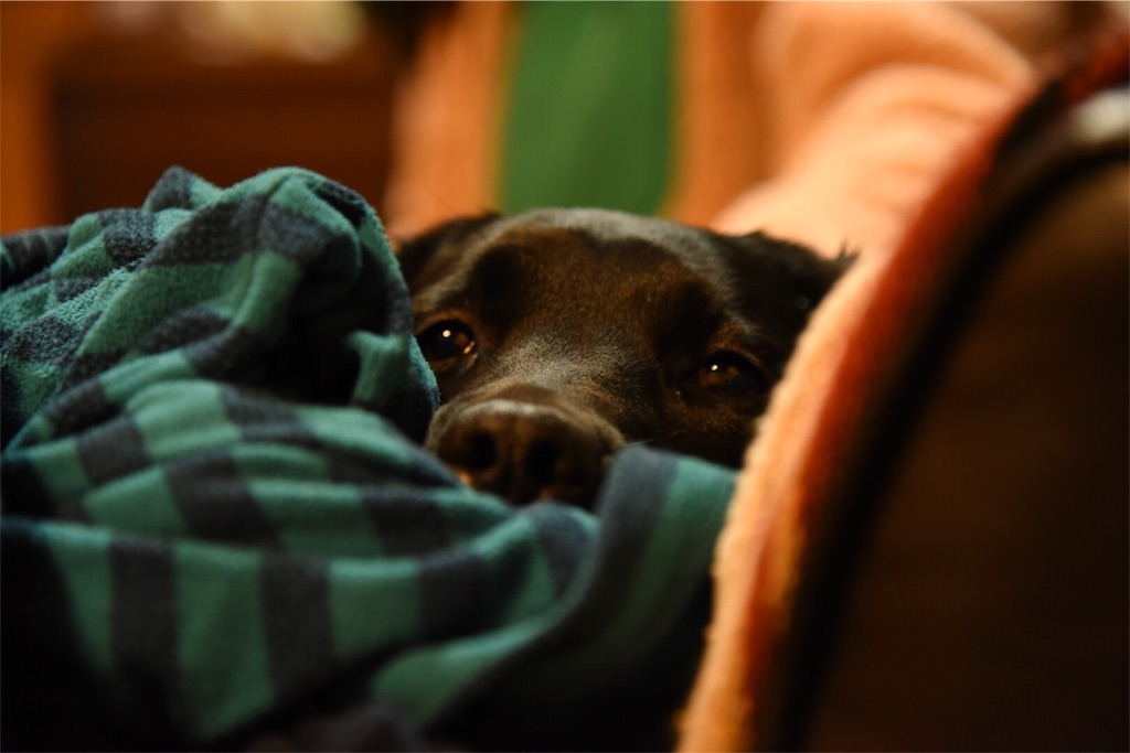 f:id:wanderful-life:20151226224714j:image f:id:wanderful-life:20151226224714j:image