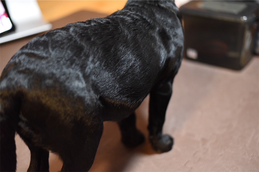 f:id:wanderful-life:20160127143642j:image f:id:wanderful-life:20160127143642j:image