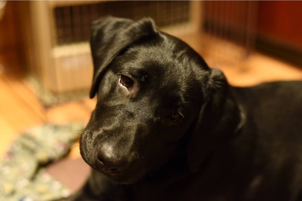 f:id:wanderful-life:20160301211347j:image f:id:wanderful-life:20160301211347j:image