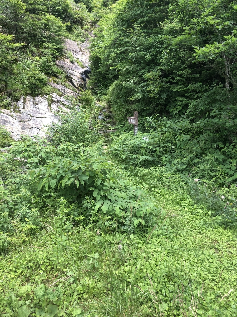 f:id:wanderlust_journal:20201128213505j:plain