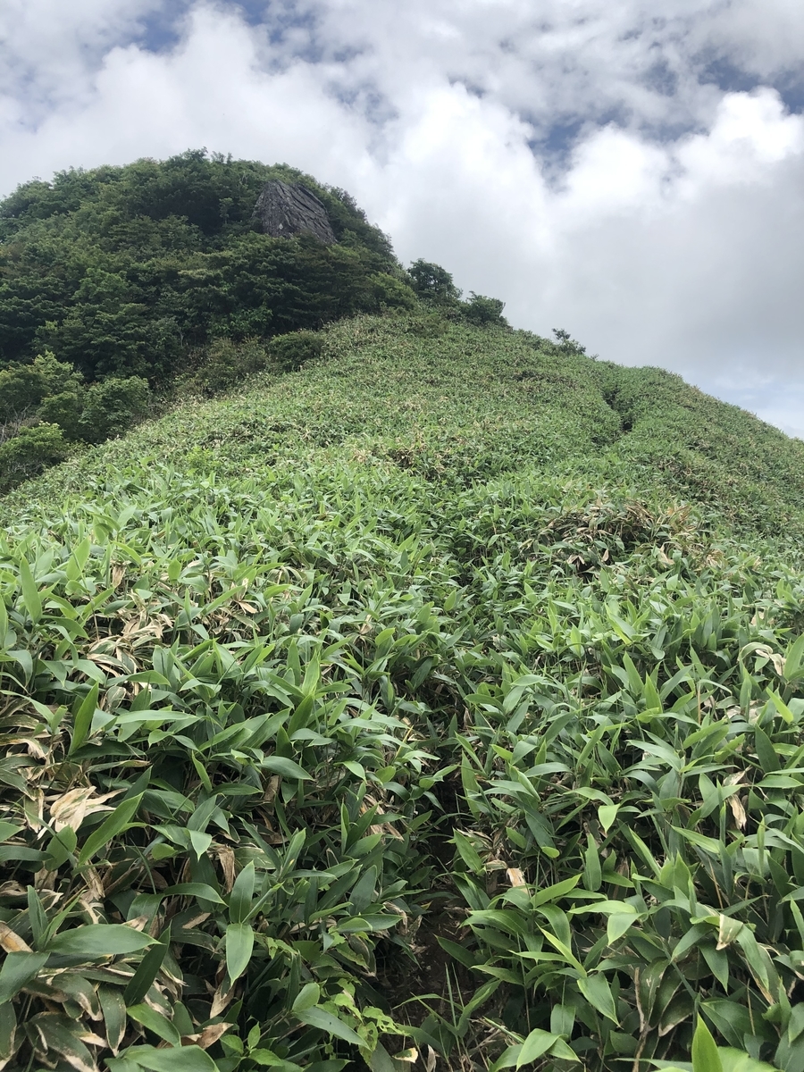 f:id:wanderlust_journal:20201128213553j:plain