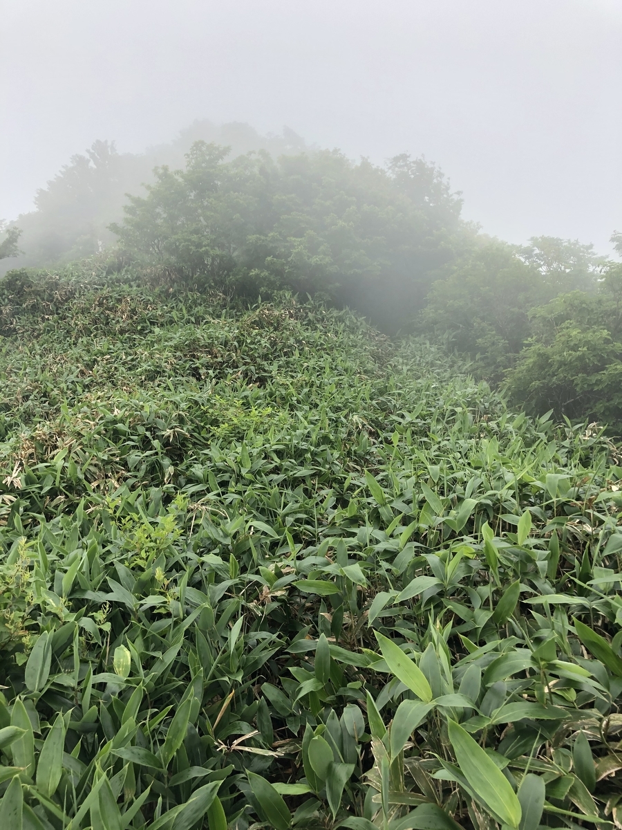 f:id:wanderlust_journal:20201225220419j:plain