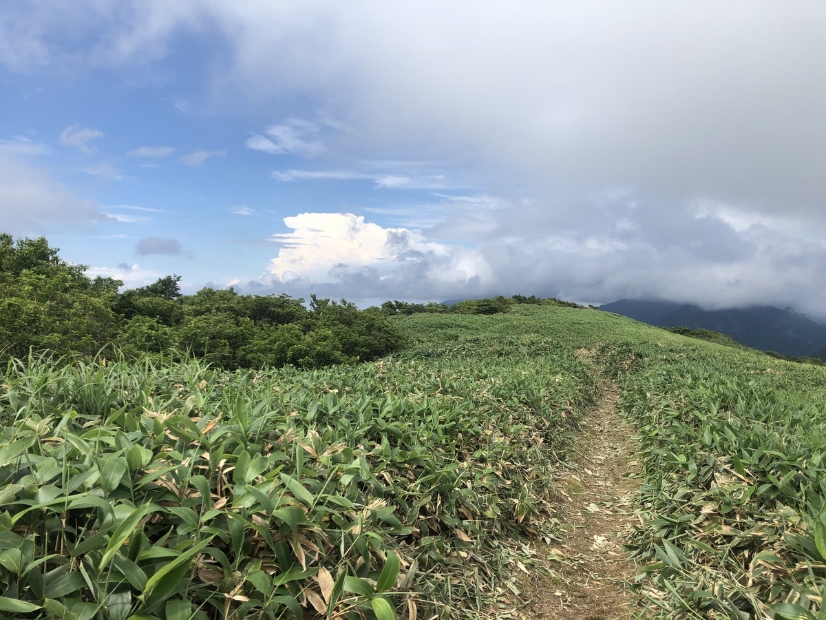 f:id:wanderlust_journal:20201225220501j:plain