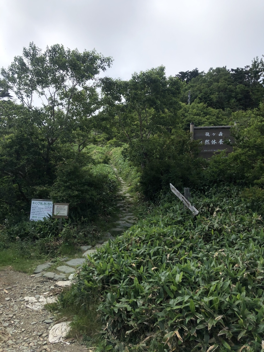 f:id:wanderlust_journal:20201225220512j:plain